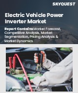 Global Electric Vehicle Power Inverter Market