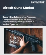 Global Airsoft Guns Market