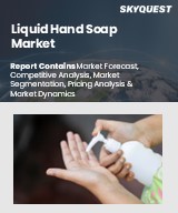 Global Liquid Hand Soap Market