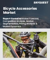 Global Bicycle Accessories Market