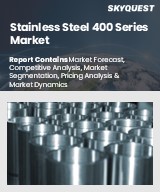 Global Stainless Steel 400 Series Market