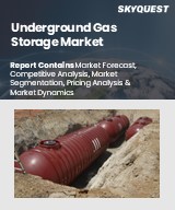 Global Underground Gas Storage Market
