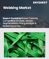 Global Webbing Market