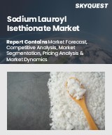 Global Sodium Lauroyl Isethionate Market