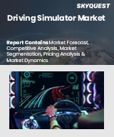 Global Driving Simulator Market