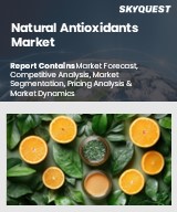 Global Natural Antioxidants Market