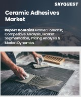 Global Ceramic Adhesives Market