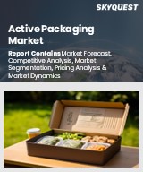 Global Active Packaging Market
