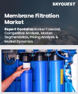 Global Membrane Filtration Market