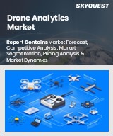 Global Drone Analytics Market