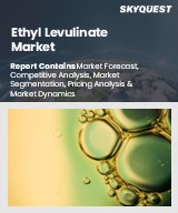 Global Ethyl Levulinate Market