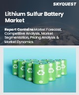Global Lithium Sulfur Battery Market