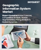 Global Geographic Information System Market