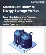 Global Molten Salt Thermal Energy Storage Market
