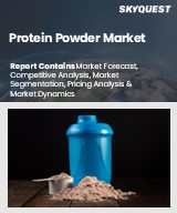 Global Protein Powder Market
