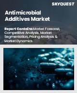 Global Antimicrobial Additives Market