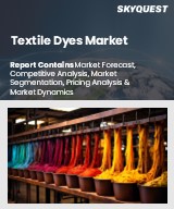 Global Textile Dyes Market