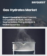 Global Gas Hydrates Market