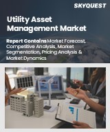 Global Utility Asset Management Market