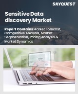 Global Sensitive Data Discovery Market