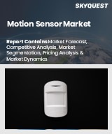 Global Motion Sensor Market