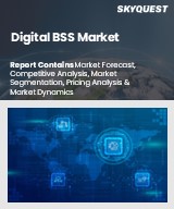 Global Digital BSS Market