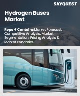 Global Hydrogen Buses Market