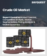 Global Crude Oil Market