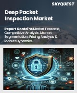 Global Deep Packet Inspection Market