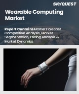 Global Wearable Computing Market