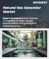 Global Natural Gas Generator Market