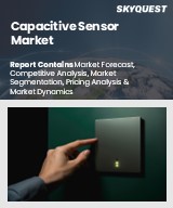 Global Capacitive Sensor Market