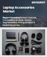 Global Laptop Accessories Market