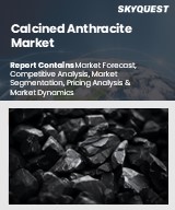 Global Calcined Anthracite Market