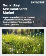 Global Secondary Macronutrients Market