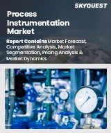 Global Process Instrumentation Market