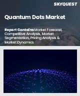Global Quantum Dots Market