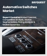 Global Automotive Switches Market