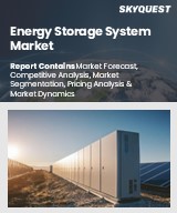 Global Energy Storage System Market