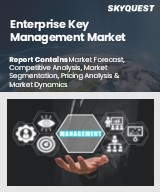 Global Enterprise Key Management Market