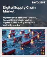 Global Digital Supply Chain Market
