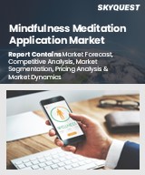 Global Mindfulness Meditation Application Market