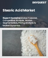 Global Stearic Acid Market