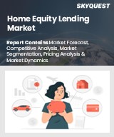 Global Consumer Credit Market