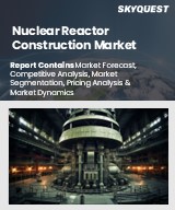 Global Nuclear Reactor Construction Market