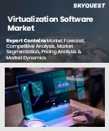 Global Virtualization Software Market