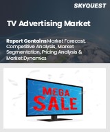 Global TV Advertising Market