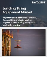 Global Landing String Equipment Market