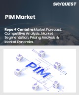 Global PIM Market