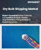 Global Dry Bulk Shipping Market
